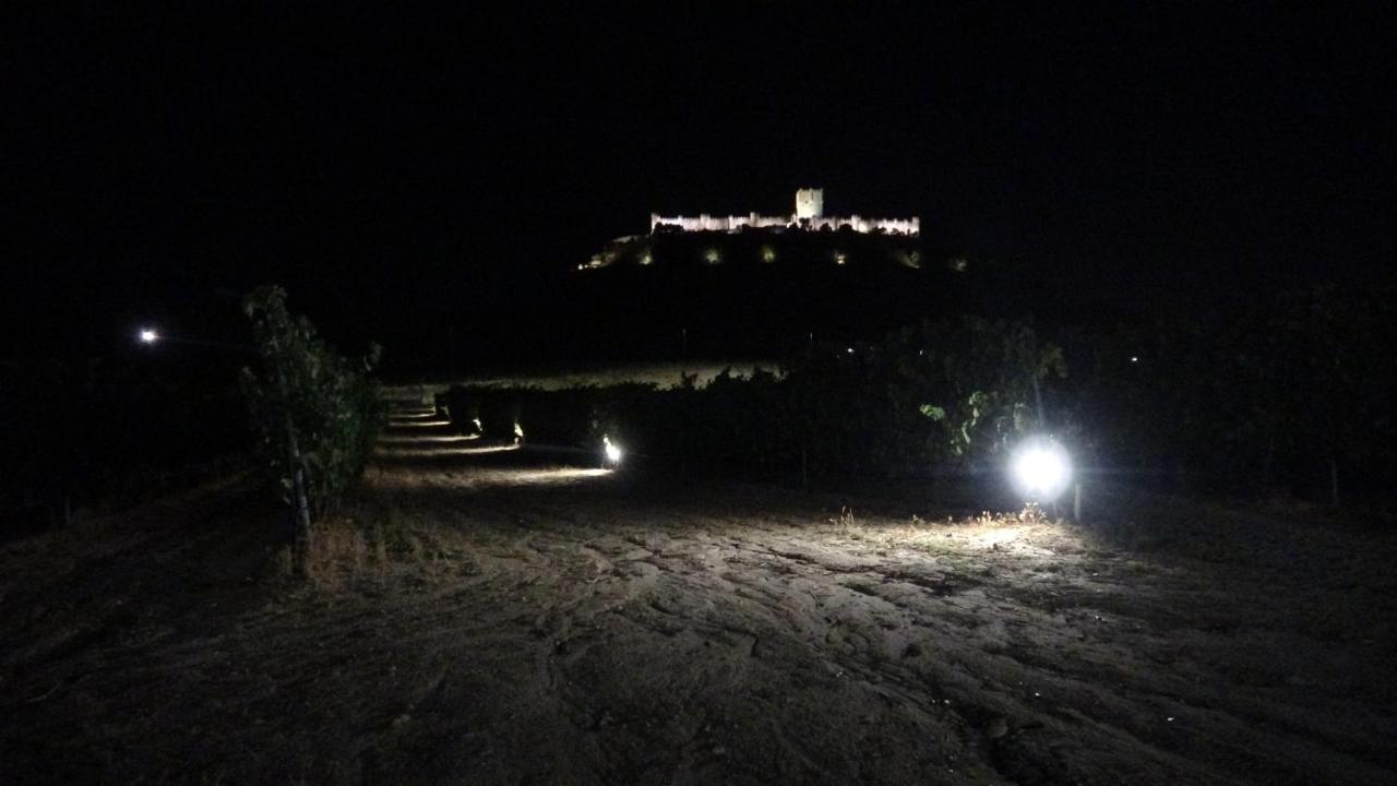 Casa Bodegas Marcos Villa Penafiel Bagian luar foto