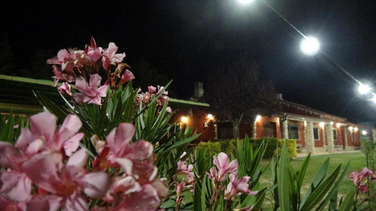 Casa Bodegas Marcos Villa Penafiel Bagian luar foto
